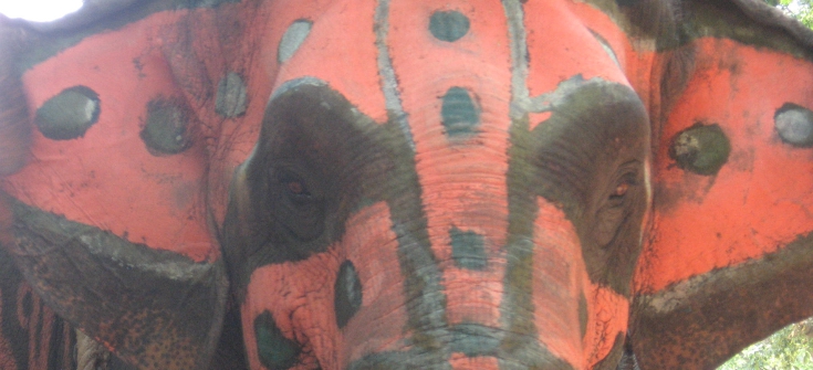 Elephant